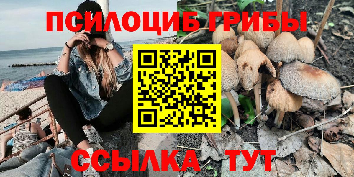 Галлюциногенные грибы Cubensis  цены   Вход с VPN  Гуково  Галлюциногенные грибы мухоморы 